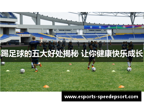 踢足球的五大好处揭秘 让你健康快乐成长 踢足球的五大好处揭秘 让你健康快乐成长